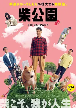 一区二区在线观看视频在线