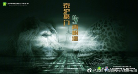 下一篇20p
