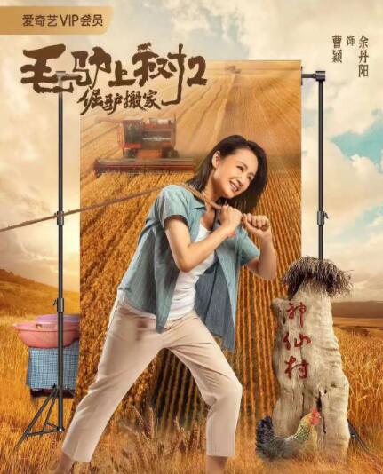 手机av在线播放