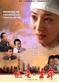 99国产精品久久久久久久成人热
