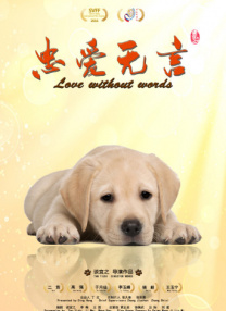 婷婷久久综合网