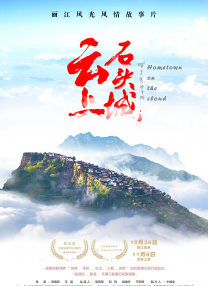 国产视频精品在线观看