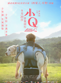 午夜在线视频免费