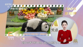 露出视频在线观看